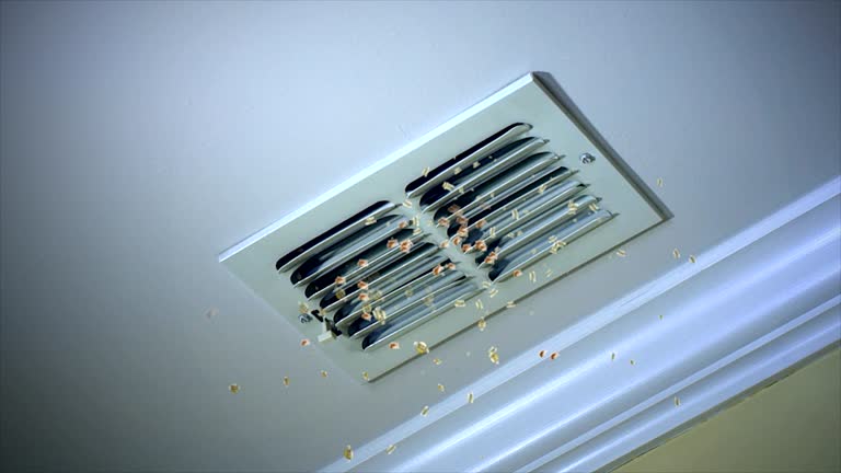 Best HVAC Air Duct Cleaning  in Duboistown, PA